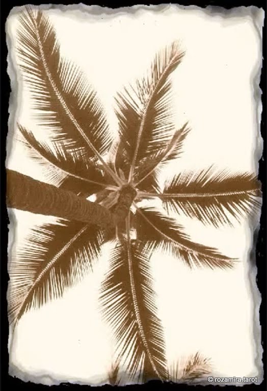 HazelMoon's Hawaiian Tarot